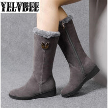Load image into Gallery viewer, Low Heels Gladiator Plush 2021 New Winter Mature Warm Mujer Botas Zipper Fashion Motorcycle Boots Designer Platform Lady Shoes

