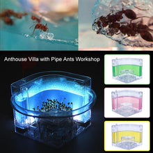 Load image into Gallery viewer, Funny Ant Nest Villa Luminous Colorful Specially Ants House Decoration Art Pet Toy Ant Farm Kids Gift Transparent Habitat
