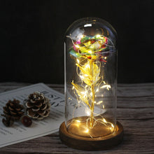 Load image into Gallery viewer, Beauty And The Beast Rose In LED Glass Dome
