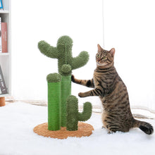 Load image into Gallery viewer, Drop Shipping Cactus Pet Cat Tree Toys with Ball Scratcher Posts for  Cat Toy Protecting Furniture Fast Delivery
