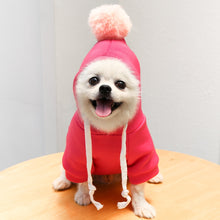 Load image into Gallery viewer, New Dog Winter Warm Clothes Cute Plush Coat Hoodies for bulldog Pet Costume Jacket Small Dog Clothing Cute Fruit Clothes For Dog
