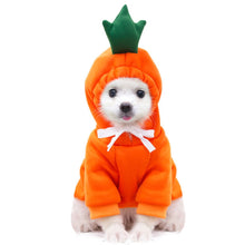 Load image into Gallery viewer, New Dog Winter Warm Clothes Cute Plush Coat Hoodies for bulldog Pet Costume Jacket Small Dog Clothing Cute Fruit Clothes For Dog
