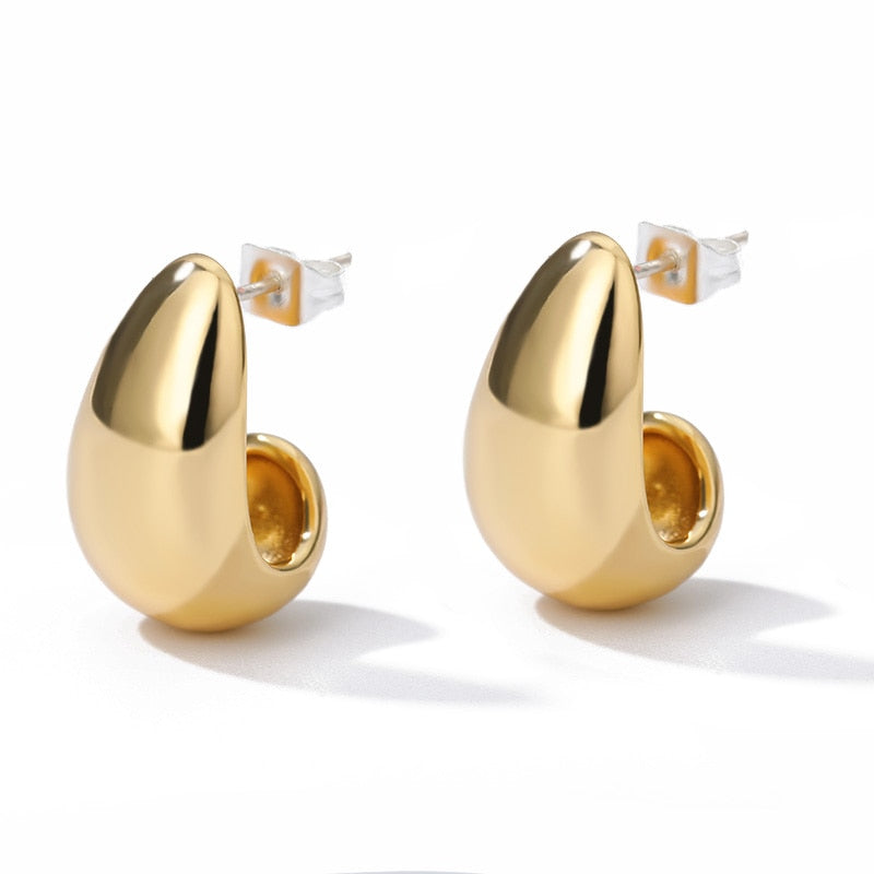 Stainless Steel Hook Earrings For Women S925 Pin Minimalist Chic Baroque Style Elegant Female Jewelry Delicate Earring Gift 2020