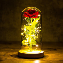 Load image into Gallery viewer, ROSE SPACE Rose in Glass Toy Artificial Flower LED Lamp Valentines Day Gift Mother Christmas Gift Party Girlfriend Birthday Gift

