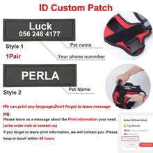 Load image into Gallery viewer, Personalized Dog Harness NO PULL Reflective Breathable Adjustable Pet Harness For Small large Dog Harness Vest With Custom patch
