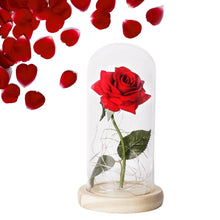 Load image into Gallery viewer, Beauty And The Beast Rose In LED Glass Dome

