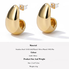 Load image into Gallery viewer, Stainless Steel Hook Earrings For Women S925 Pin Minimalist Chic Baroque Style Elegant Female Jewelry Delicate Earring Gift 2020
